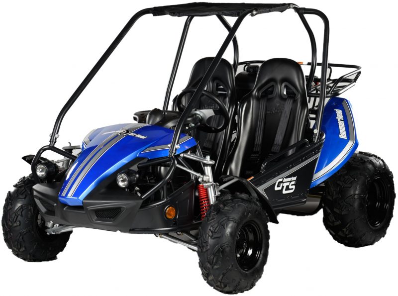 Hammerhead GTS 150 go-kart in blue